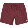 Billabong All Day LB Swimming Shorts -FlexWardrobe Sales Shop billabong all day lb swimming shorts