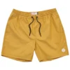 Globe Clean Swell Swimming Shorts