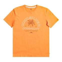 Quiksilver Quiet Hour Short Sleeve T-Shirt