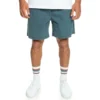Quiksilver Taxerws Swimming Shorts
