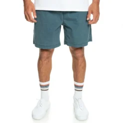 Quiksilver Taxerws Swimming Shorts